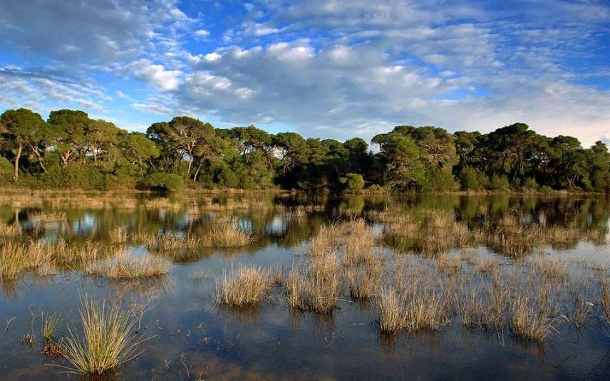 Αυτές είναι οι περιοχές natura στην Κρήτη