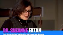 Στιγμές από την ζωή της Suzanne Eaton