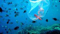 Αφαίρεσαν 40 τόνους πλαστικό από τον ωκεανό