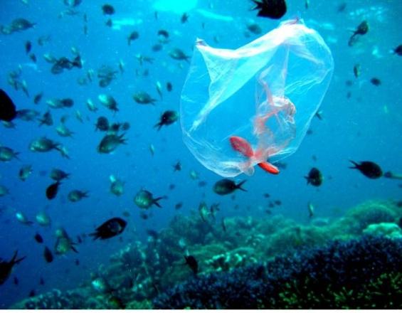 Αφαίρεσαν 40 τόνους πλαστικό από τον ωκεανό