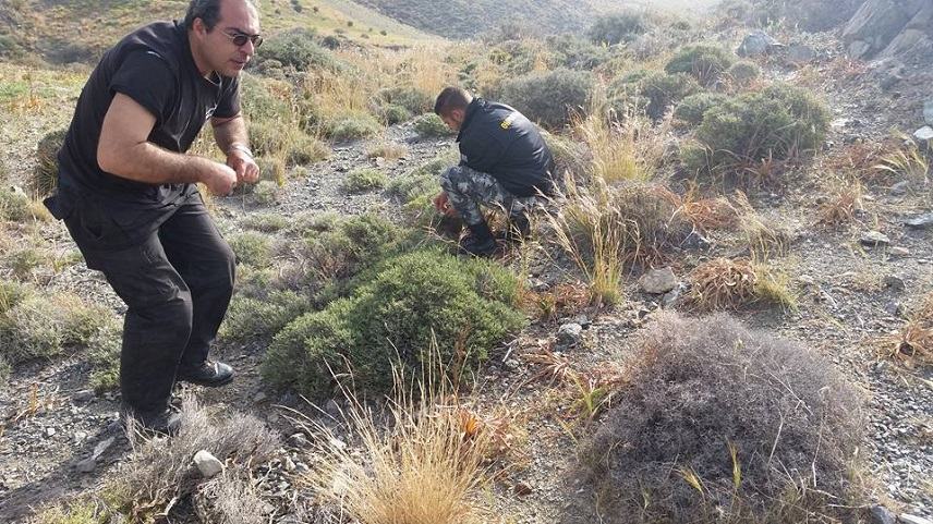 Οι Θηροφύλακες καταδίωξαν τον λαθροθήρα στην περιοχή του Λέντα! (Φωτογραφίες)