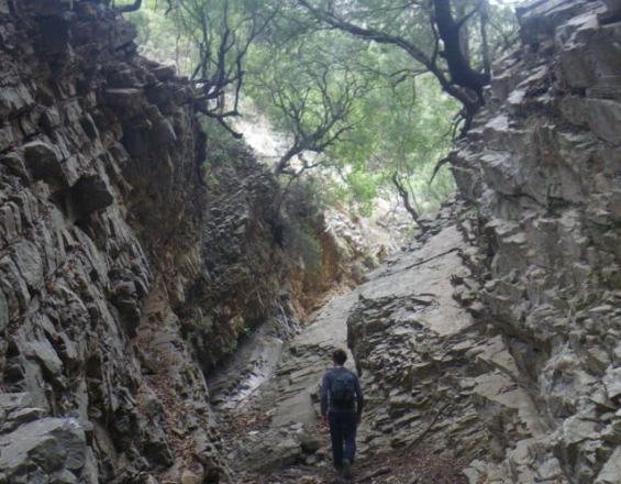 Πεζοπορία στο φαράγγι του Τσιγκούνη