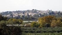 Γέμισαν φόλες δρόμους και πλατείες  στους Βώρους