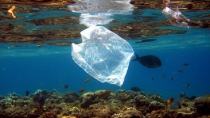 WWF: Σε επίπεδα ρεκόρ η πλαστική ρύπανση σε Μεσόγειο- Στοιχεία για Ελλάδα
