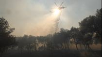 Πυρκαγιά στην Αττική: Σε Πεντέλη, Βριλήσσια, Διόνυσο και Αφίδνες τα κυριότερα μέτωπα