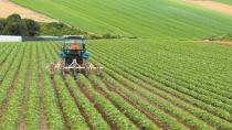 Διαμέσου της αναγεννητικής γεωργίας το μέλλον του πρωτογενούς τομέα εκτιμά η Bayer
