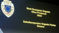 Έλληνας ο καλύτερος Ευρωπαίος ελαιοπαραγωγός
