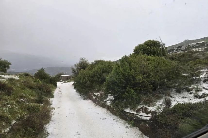 Κίνδυνος για ελιές και αμπέλια που επλήγησαν απο το χαλάζι