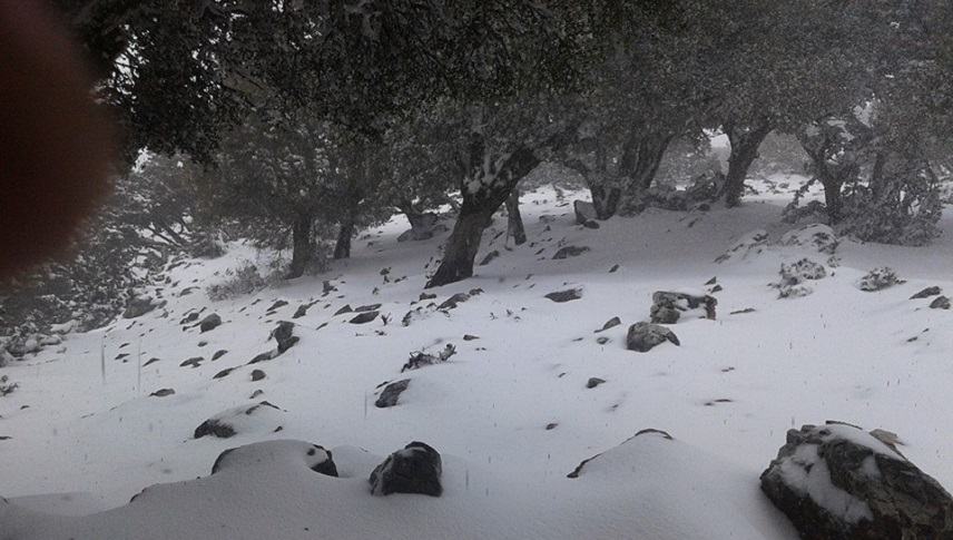 Εικόνα Χειμωνιάτικη από τη Ρίζα του Ψηλορείτη.