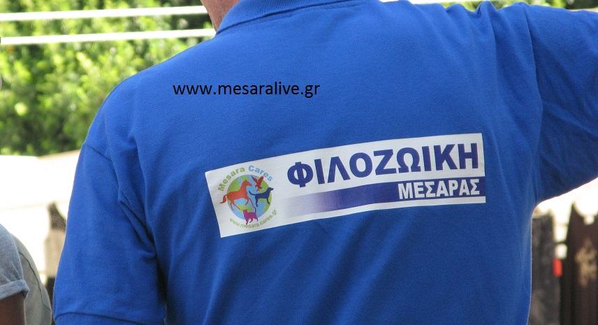 Φιλοζωική διαμαρτυρία για τη θανάτωση ζώων στην Μεσαρά