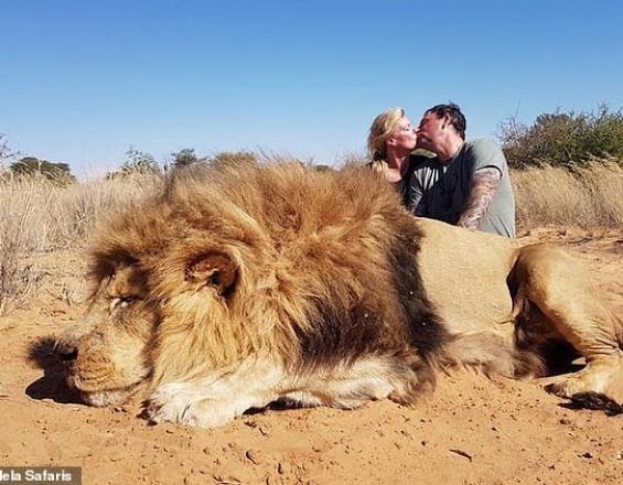 Σάλος με το ζευγάρι που σκότωσε λιοντάρι και φιλιέται μπροστά του όλο καμάρι!