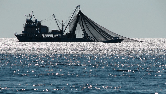 COVID-19: Στο επίκεντρο για τη στήριξη των τομέων Αλιείας και Υδατοκαλλιέργειας