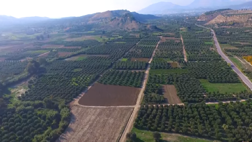 Καζάνι που βράζει η Μεσαρά - Κτηνοτρόφοι καταπατούν αγροτικές εκτάσεις