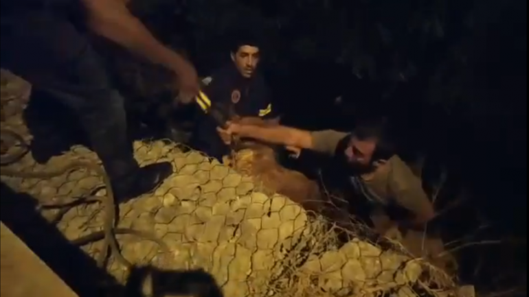 Εσωσαν το σκύλο που έπεσε στο ποτάμι (βίντεο)